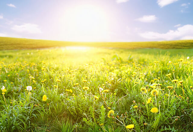 私たちについて